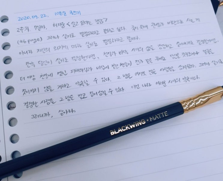  왜 나는 살아야 할까요?