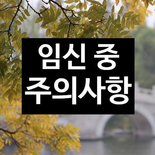  임신 중 주의사항 / X-ray 전자파 성생활 여행하기