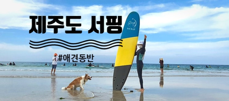  월정리 서핑 월정퀵서프 제주도서핑 체험