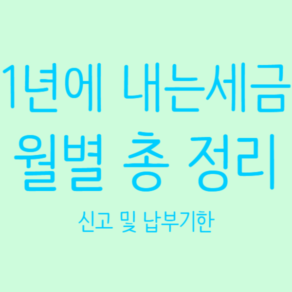  월별 국세와 지방세로 내는 세금정리