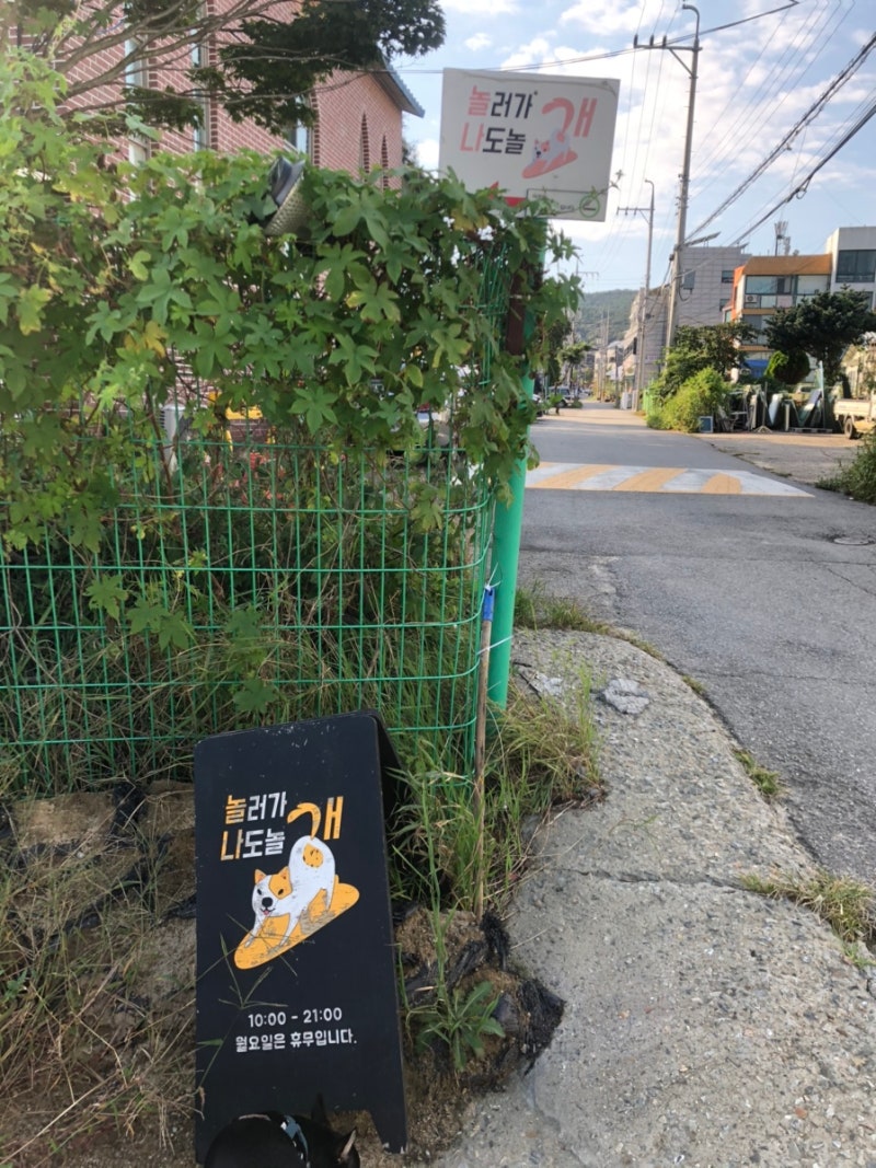 사진 2