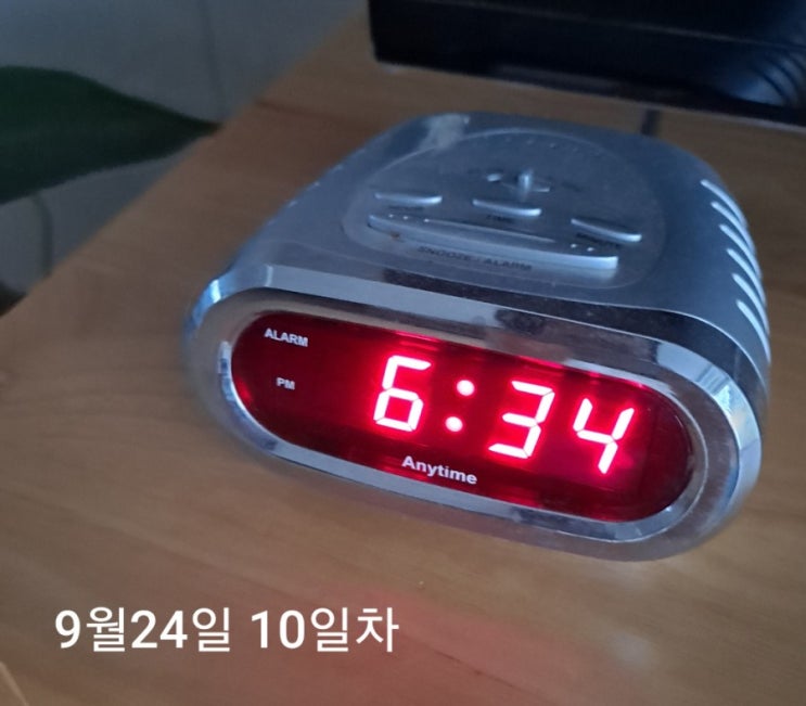  새벽 기상 6~10일 차