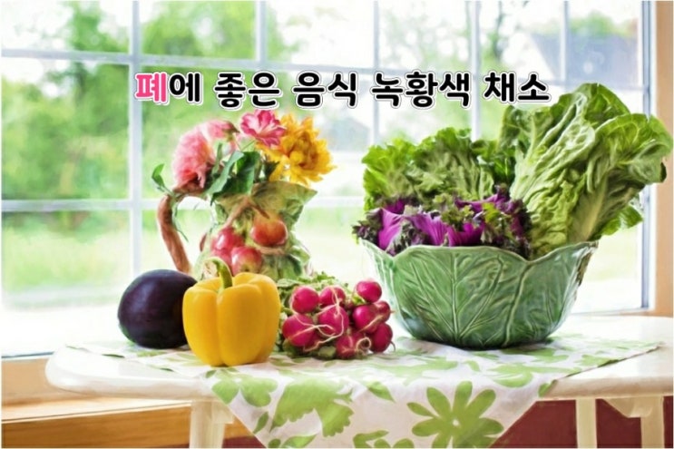 폐에 좋은 음식 녹황색 채소 등 폐에 좋은 음식 녹황색 채소 등