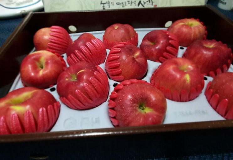 사과보다 더 값진것 사과보다 더 값진것