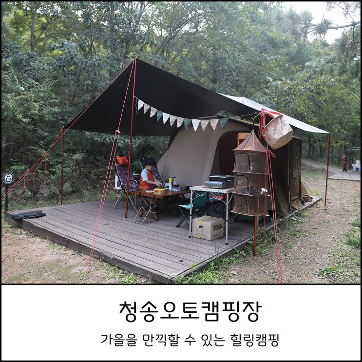  경북 청송오토캠핑장 A구역에서 아이와 함께 가을을 만나다