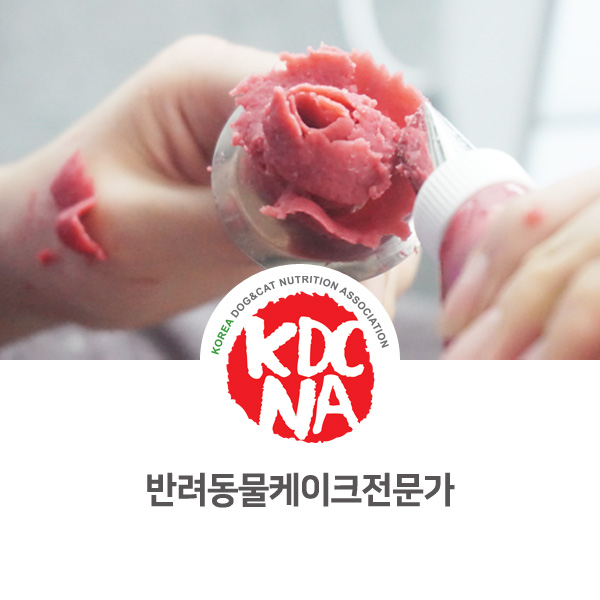  [전주 펫푸드 자격증] 박은정펫푸드아카데미 강아지 고양이 반려동물케이크 교육_630