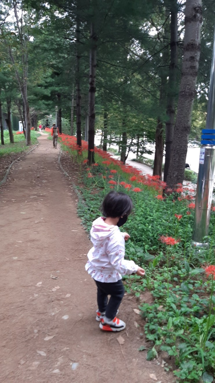  토다토닥 나를 어루만지는 날-새벽 루틴 끝낸 뒤에 셀프 산소호흡기 끼러 카페 출근