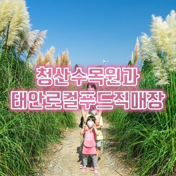  [충남 태안 여행] 태안로컬푸드직매장 그리고 청산수목원의 핑크뮬리와 팜파스그라스