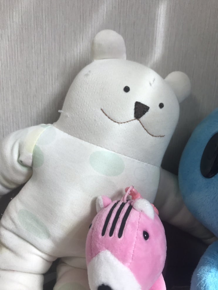  [어린이블로거] 인형들의 촉감과 이름