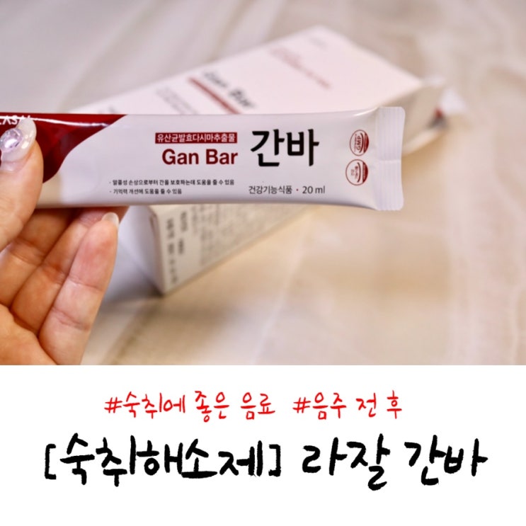  숙취해소법/ 숙취해소제 추천 : 라잘 간바
