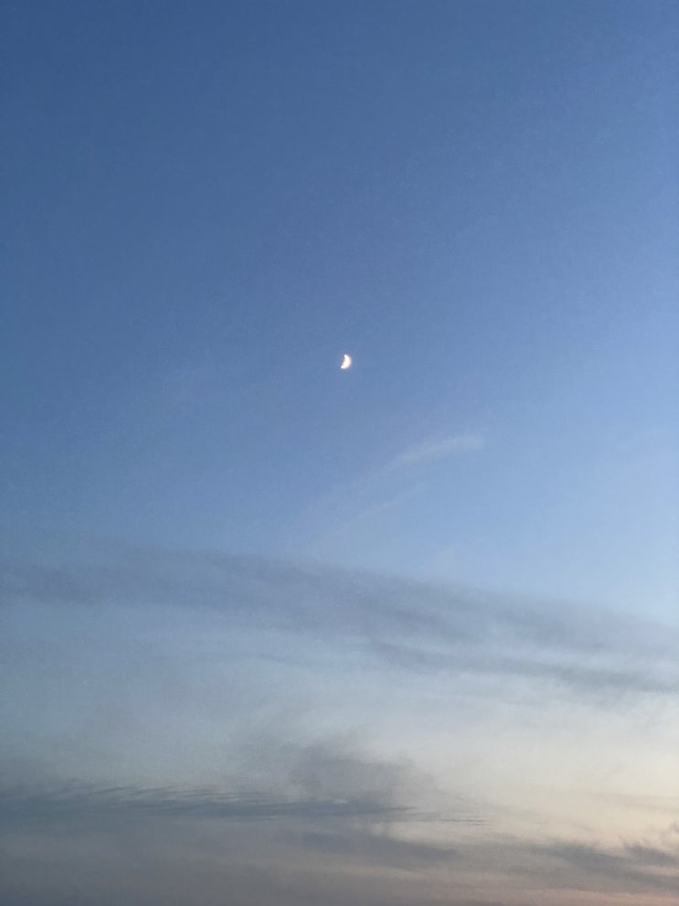  노을 맛집에서의 차박 일상