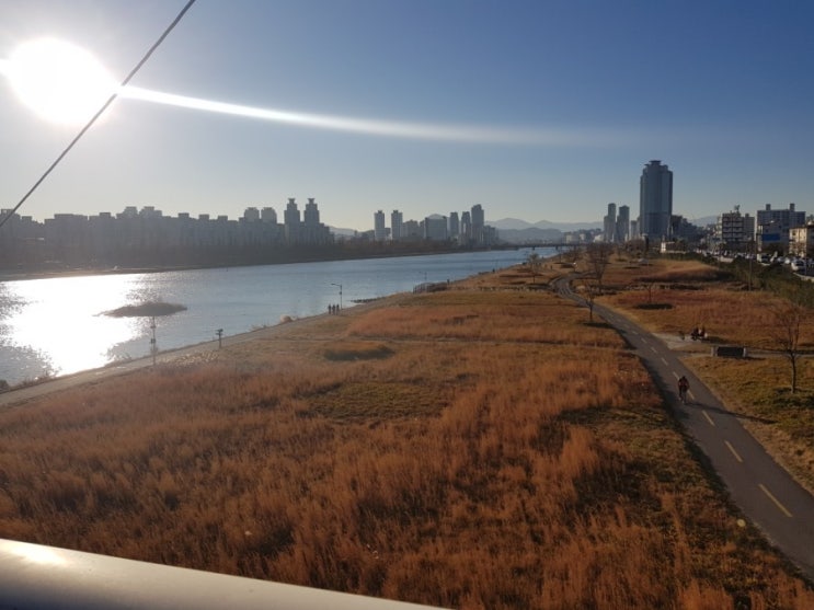  울산 태화강의 가을