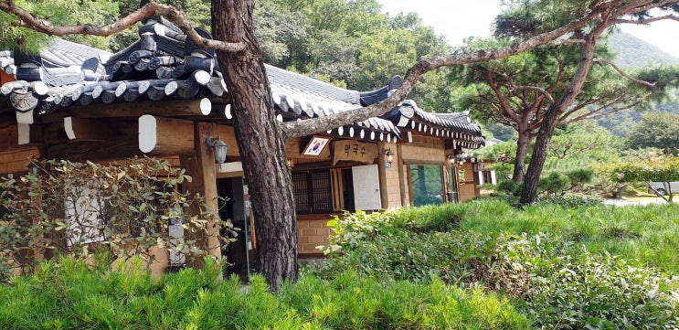  [경기도 양평] 산세, 경치가 좋은 수제 완자&막국수 맛집 "머무름"(반려견 동반 가능)