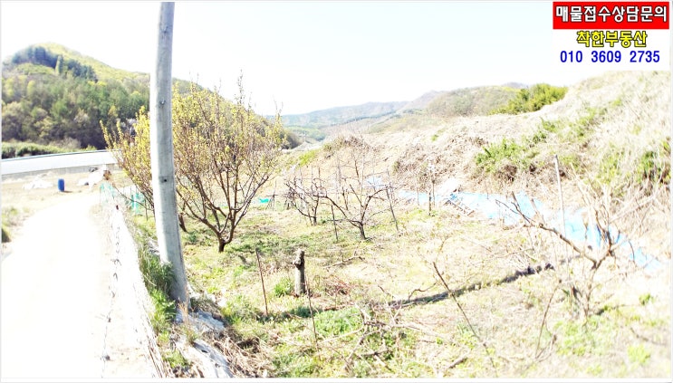 포항 저렴한 주말농장 텃밭 토지 찾으세요? 평수적당 착한금액 기계면 가안리 촌땅 매매 있어요!