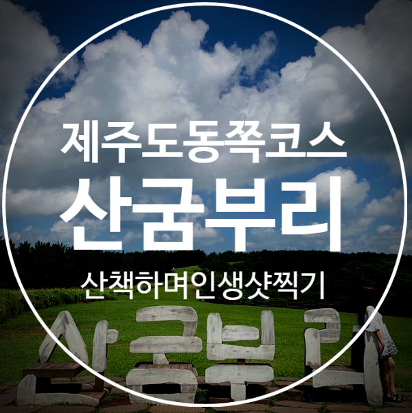  [산굼부리]제주도 동쪽여행 가을산책코스로 추천(+인생샷은 덤)