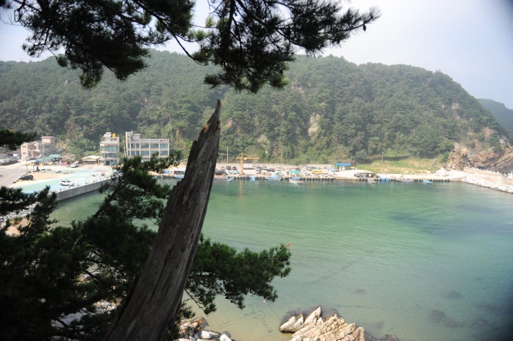  심곡산책로 일케 좋앗나