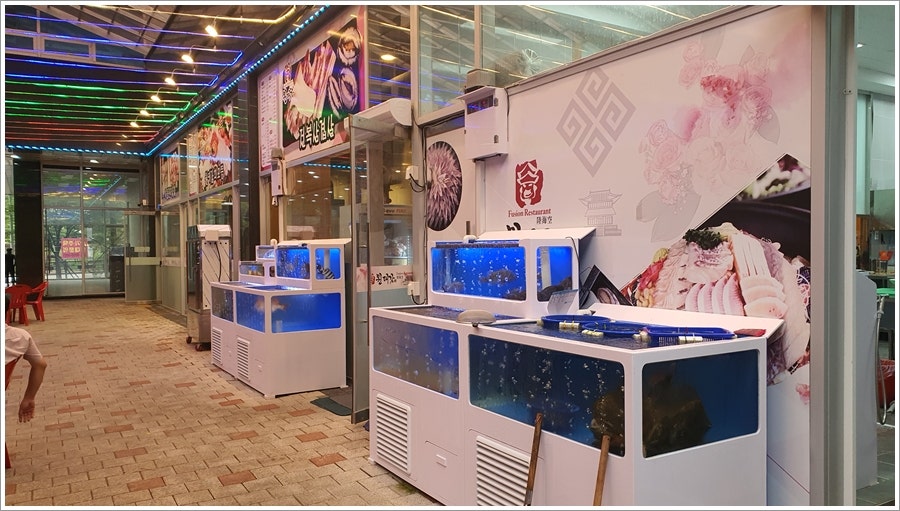 원대감 사진 2