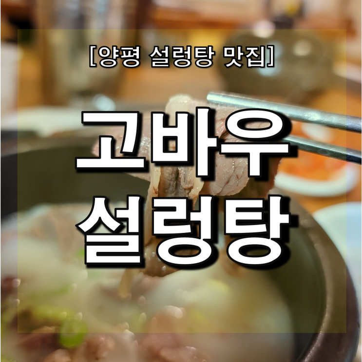  [양평 맛집] 용문 고바우설렁탕 양떼목장