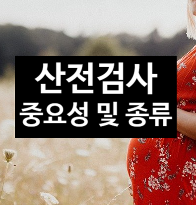  산전검사의 중요성과 종류