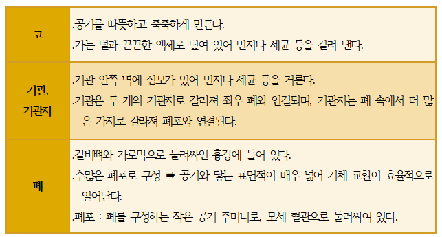 중학교 2학년 2학기 과학 동물과 에너지 만점비법 : 네이버 블로그 중학교 2학년 2학기 과학 동물과 에너지 만점비법 : 네이버 블로그