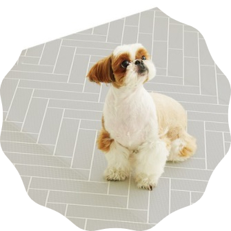  펫 매트 - 디팡 펫 플레이 매트!