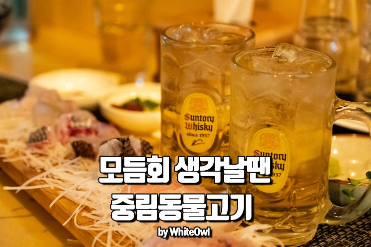  시청 가성비 오마카세 맛집 중림동 물고기에서 먹는 푸짐한 모듬회