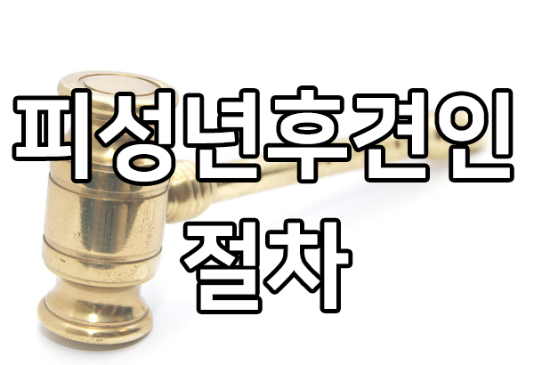  피성년후견인 절차, 한정후견 개시 사례