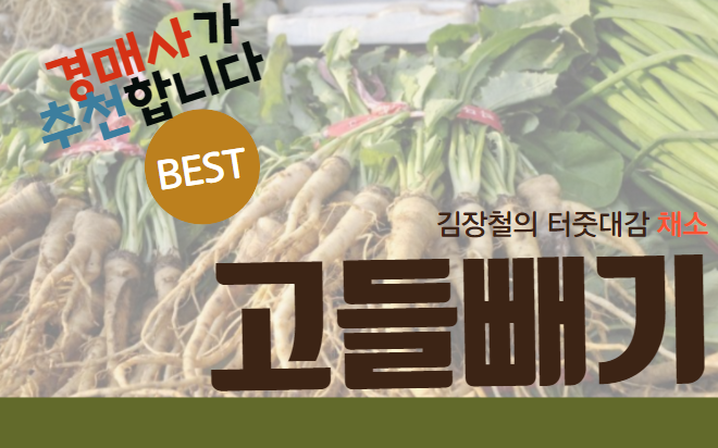  경매사에게 부탁해! 오늘 뭐 먹어? (고들빼기)