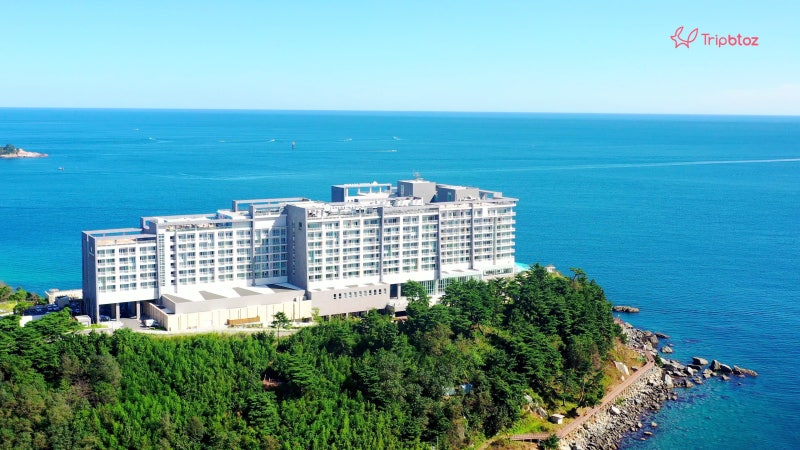 롯데리조트 속초의 모든 것! : 네이버 블로그 롯데리조트 속초의 모든 것! : 네이버 블로그