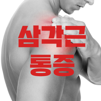 팔을 들때 아파요. 삼각근 통증.