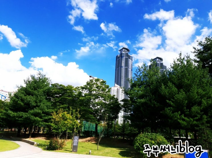  동탄 센트럴파크 산책하기 좋은 이곳은 구름마저 예술
