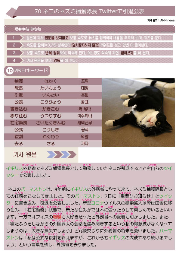  [개편안] 뉴스 일본어 개편안(예제)