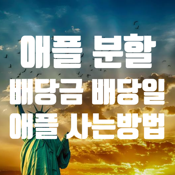  애플 액면분할 ( 주식분할 ) 배당금 배당일 주가 실적 간단 정리 (ft. 애플주식 사는법 )