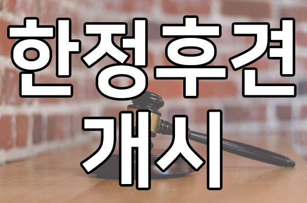  피성년후견인, 한정후견 개시 성공사례