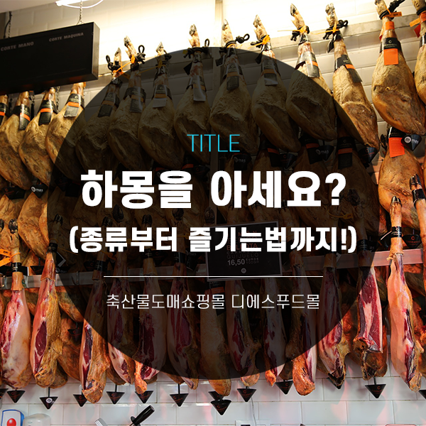  [디푸의 고기정보]하몽(jamon)을 아세요? <종류부터 즐기는 법까지!>