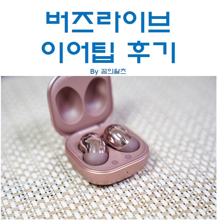 갤럭시 버즈 라이브 추가 제공 이어팁 착용법 및 착용 후기