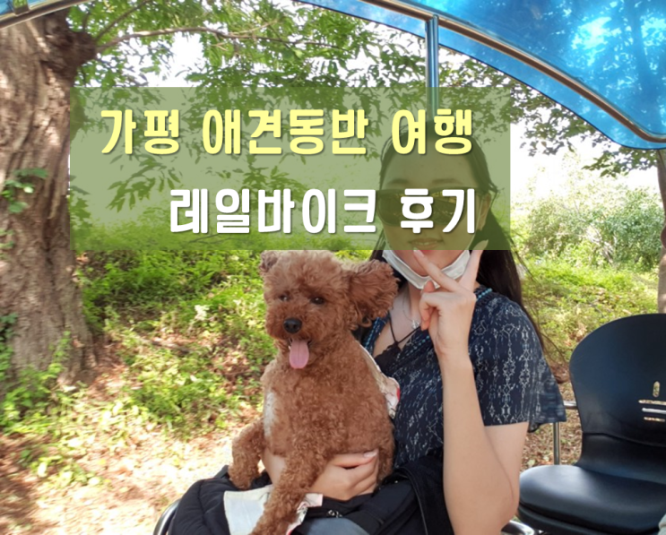  가평 애견동반 여행 ] 가평레일바이크 애견동반 후기