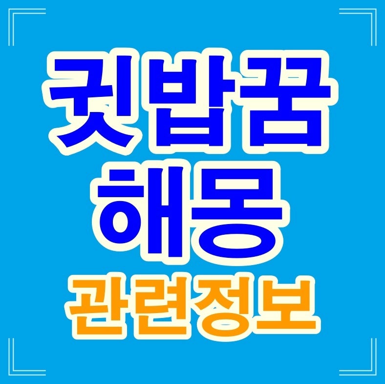 귓밥파는꿈 등 귓밥꿈 해몽 풀이 총정리