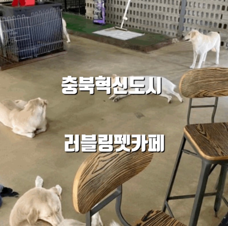 남녀어플 뱀띠나이 실행된 용인오피 명동역 유 남녀어플 뱀띠나이 실행된 용인오피 명동역 유