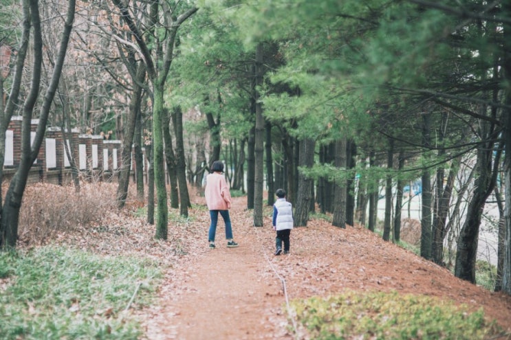 경기도 오산 물향기수목원 (당일 아이와 함께 가족 나들이 정보 요약)