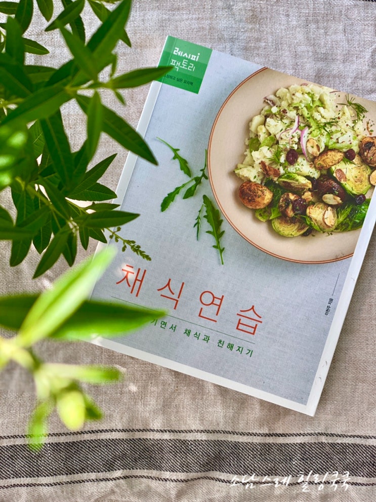  비건음식 채식요리에 한걸음 <채식연습> 해요_채식식단 비건쇼핑몰  공유:)