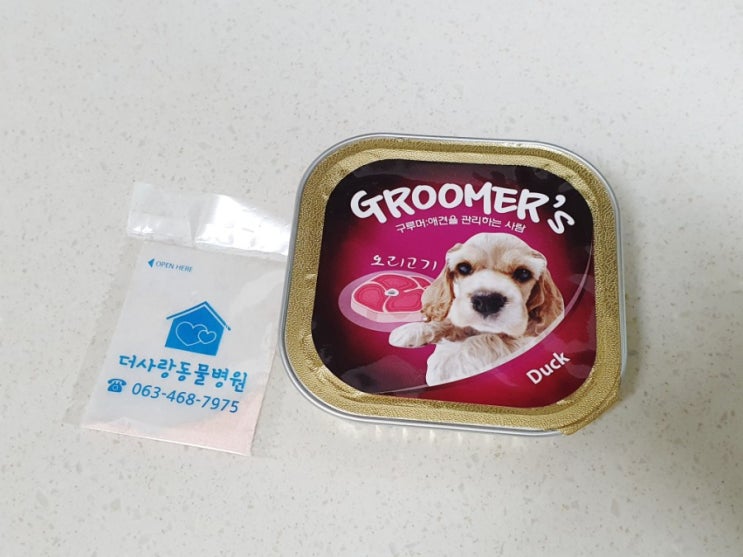  강아지 가루약 먹이기 약먹이는법 꿀팁 몇가지들