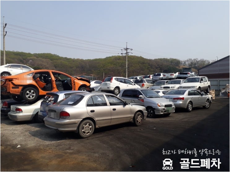  김포폐차장 레조 당일 말소했습니다