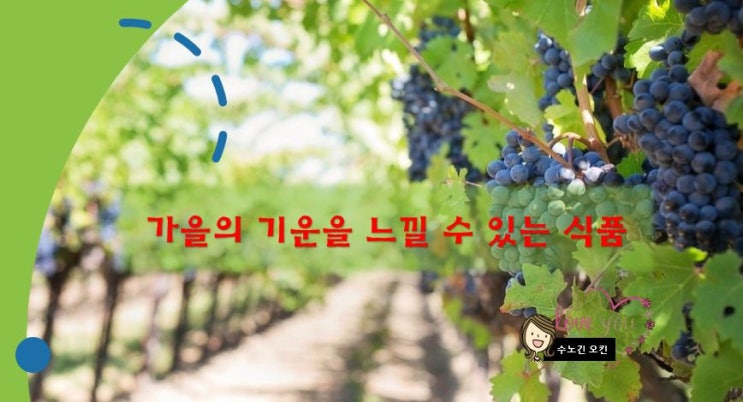  가을식품/가을의 기운을 느낄 수 있는 식품3가지 입니다