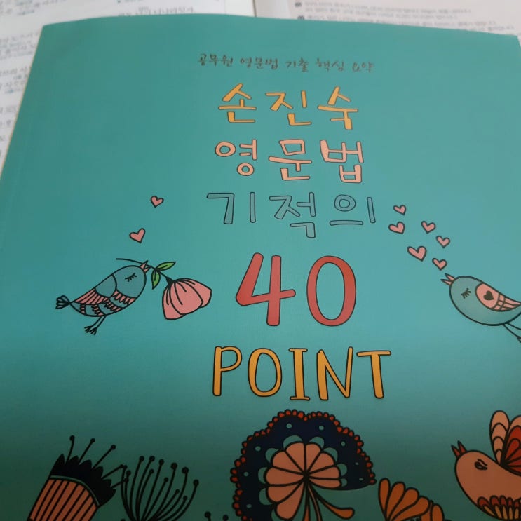  손진숙 기적의 40포인트 정오표 : 공무원 영어 문법