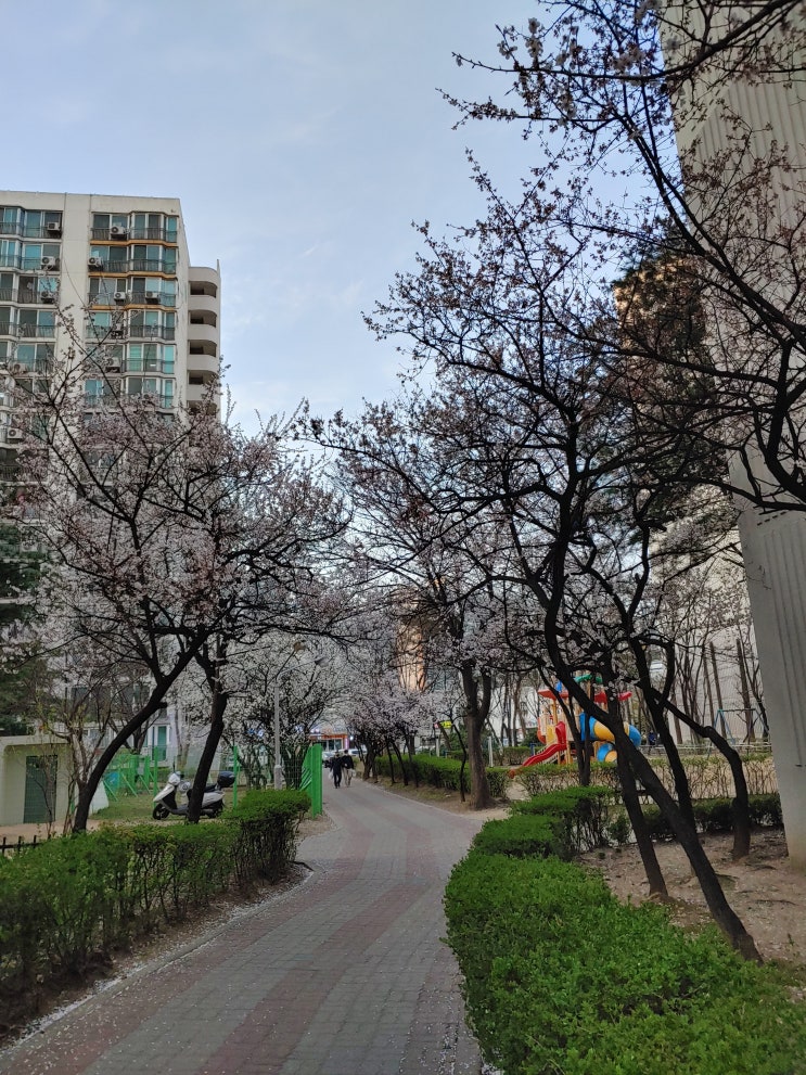  코로나로 인한 지난 흔적들 (추억으로만 남길 바라며)