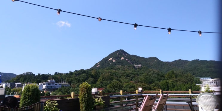  결혼에 대하여 사랑에 대하여 요즘 젊은사람들의 생각
