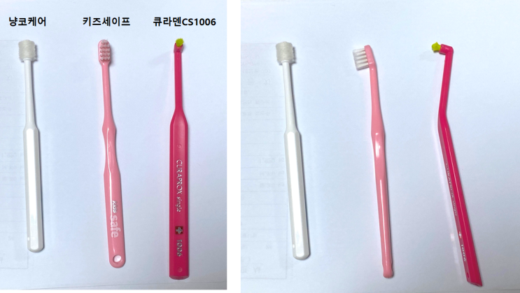  고양이 칫솔추천 (큐라덴,유아용,냥코케어실린더)