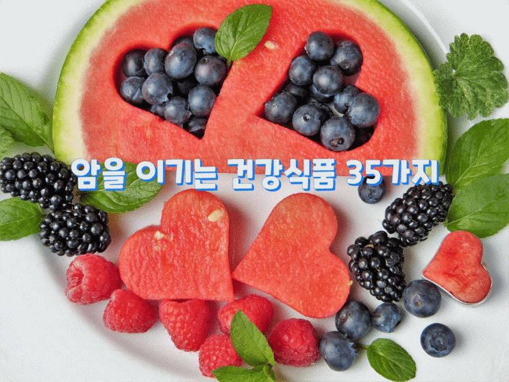 암을 이기는 건강식품 35가지 암을 이기는 건강식품 35가지