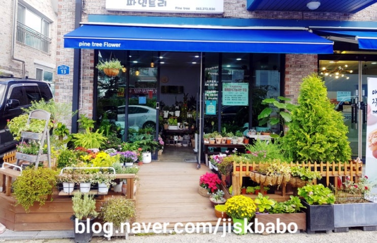  꽃이 예쁜 전주 파인트리플라워 ,송천동꽃집,내 돈 내산 솔직후 기 ~